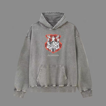 Autumn and winter clothing washing snowflake series hooded sweatshirt